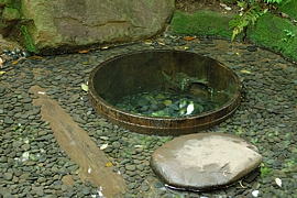 清正井